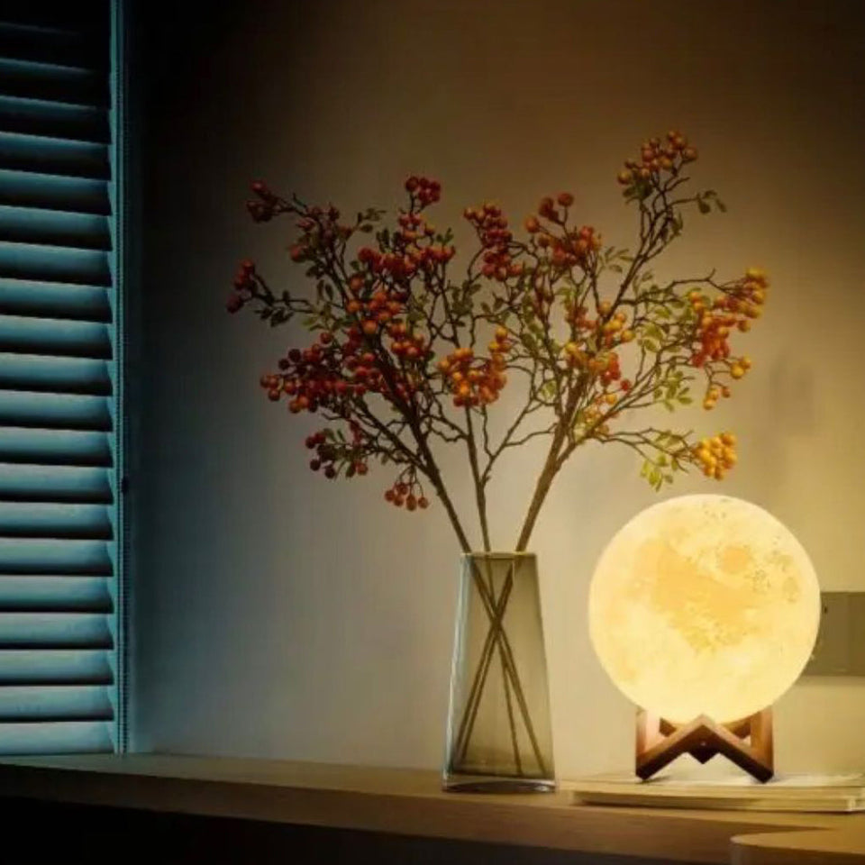 Trending Chargeable LED Moon Light Lamp With Stand – SB FIT